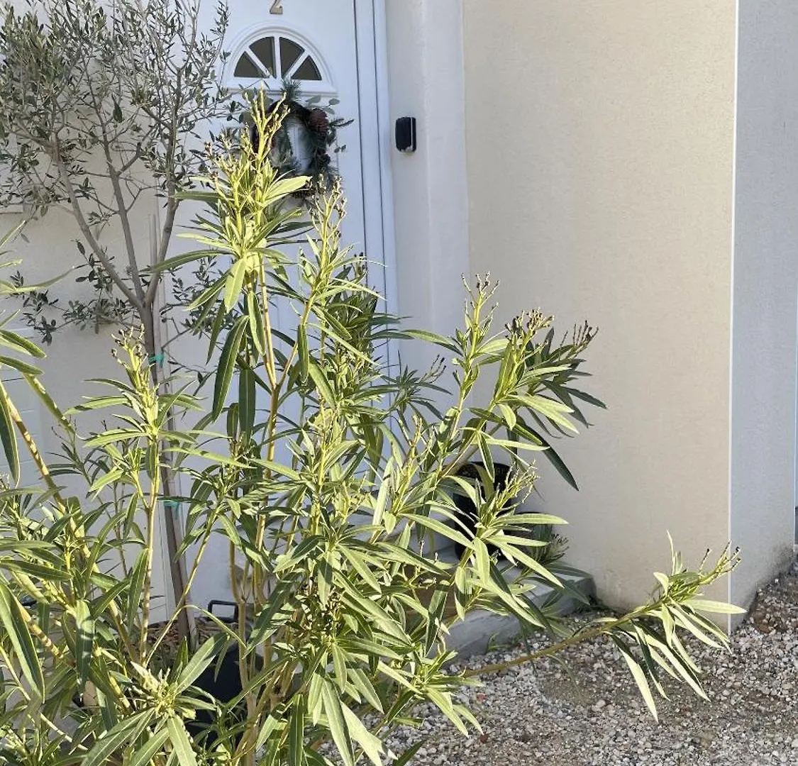 Holiday home Le Clos Du Moulin 2 - Home 3 Bedroom, Garden, Near Avignon, In Provence (Adults Only) Entraigues-sur-la-Sorgue
